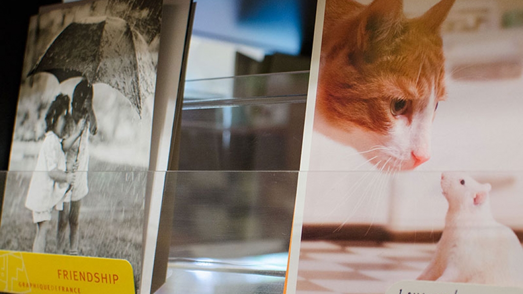 Other Gifts Baskets n Bundles Custom Gift Baskets in Ancaster